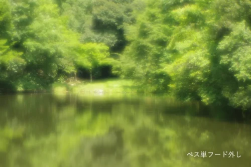 ベス単フード外し